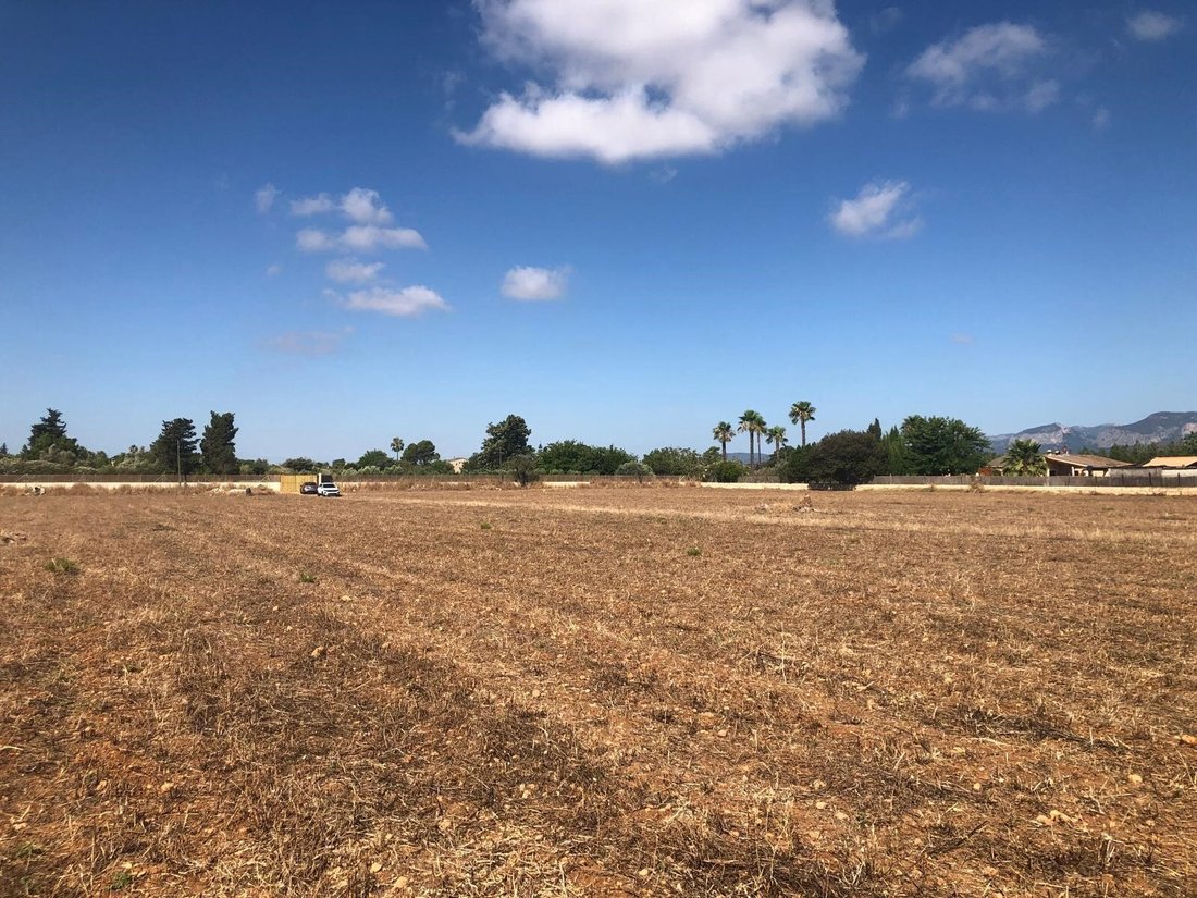 Land in Inca, Balearic Islands, Spain 4 - 16472641