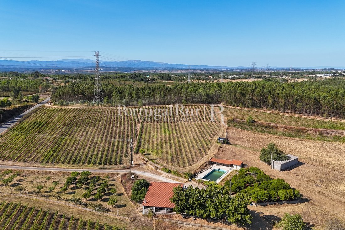 Estate in Benquerencas, Castelo Branco District, Portugal 4 - 14610856