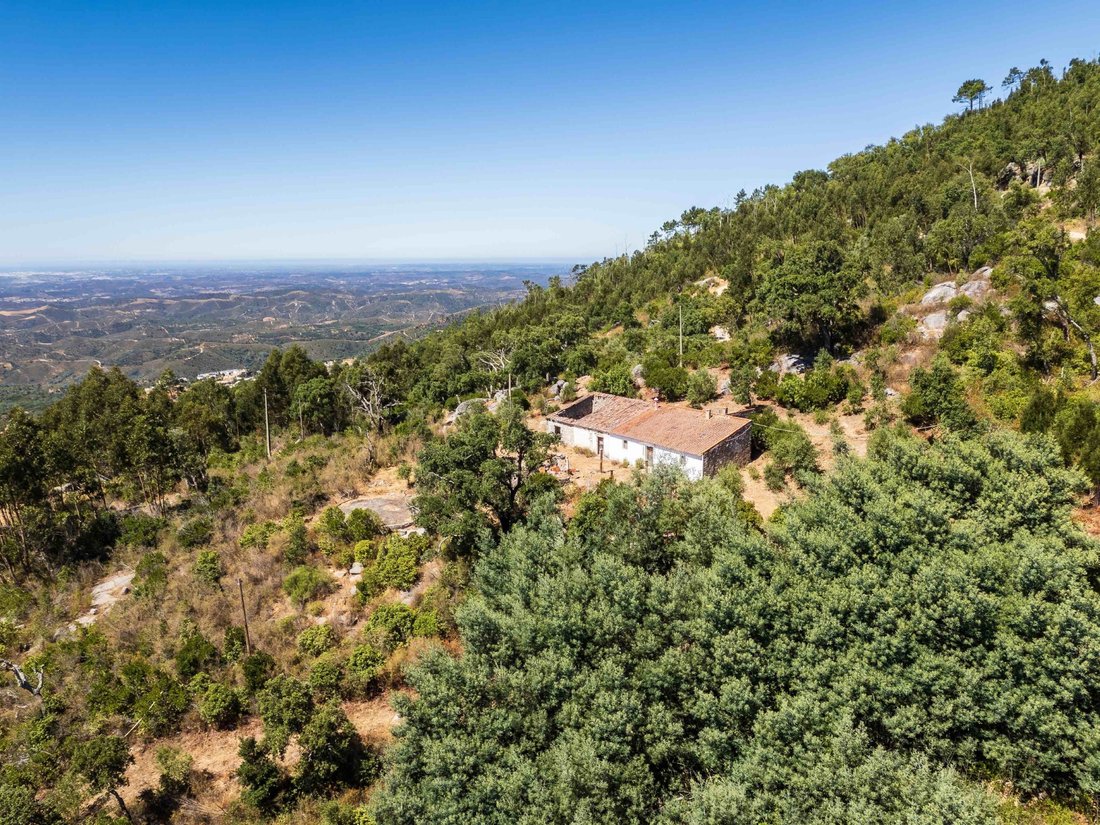 Finca in Monchique, Algarve, Portugal 3 - 16392642