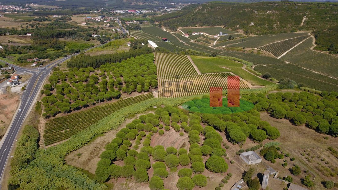 Land in Alcoentre, Lissabon, Portugal 4 - 12276209