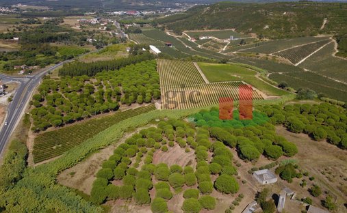Land in Alcoentre, Lisbon, Portugal 1