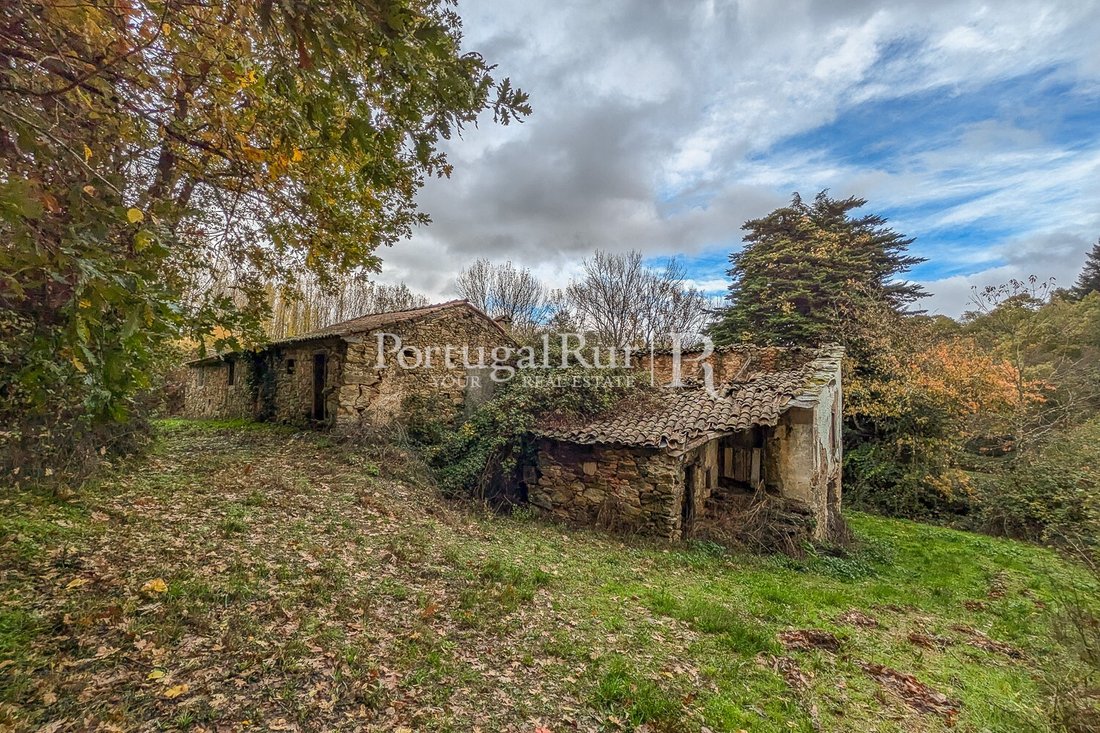 Finca in Paramio, Braganca District, Portugal 4 - 16630546