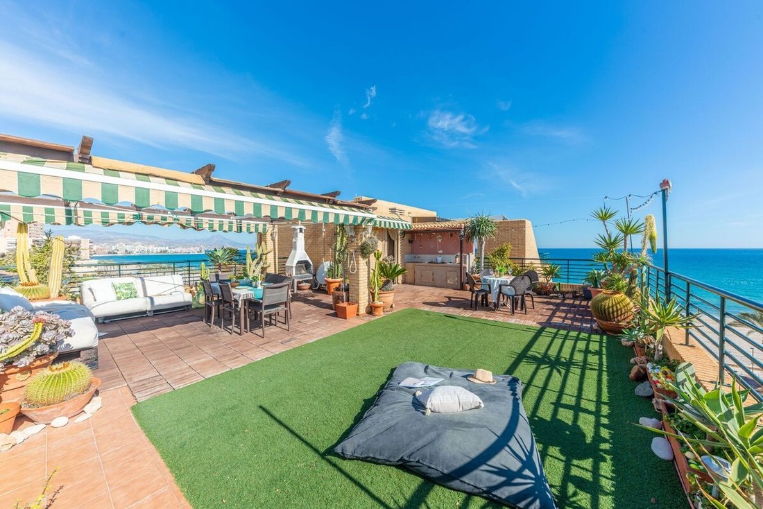 Apartment in el Campello, Valencian Community, Spain 1 - 15856076