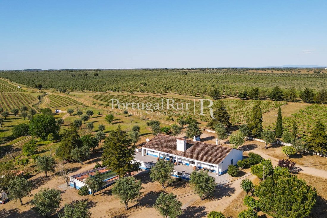 Estate in Galveias, Portalegre District, Portugal 1 - 14876612
