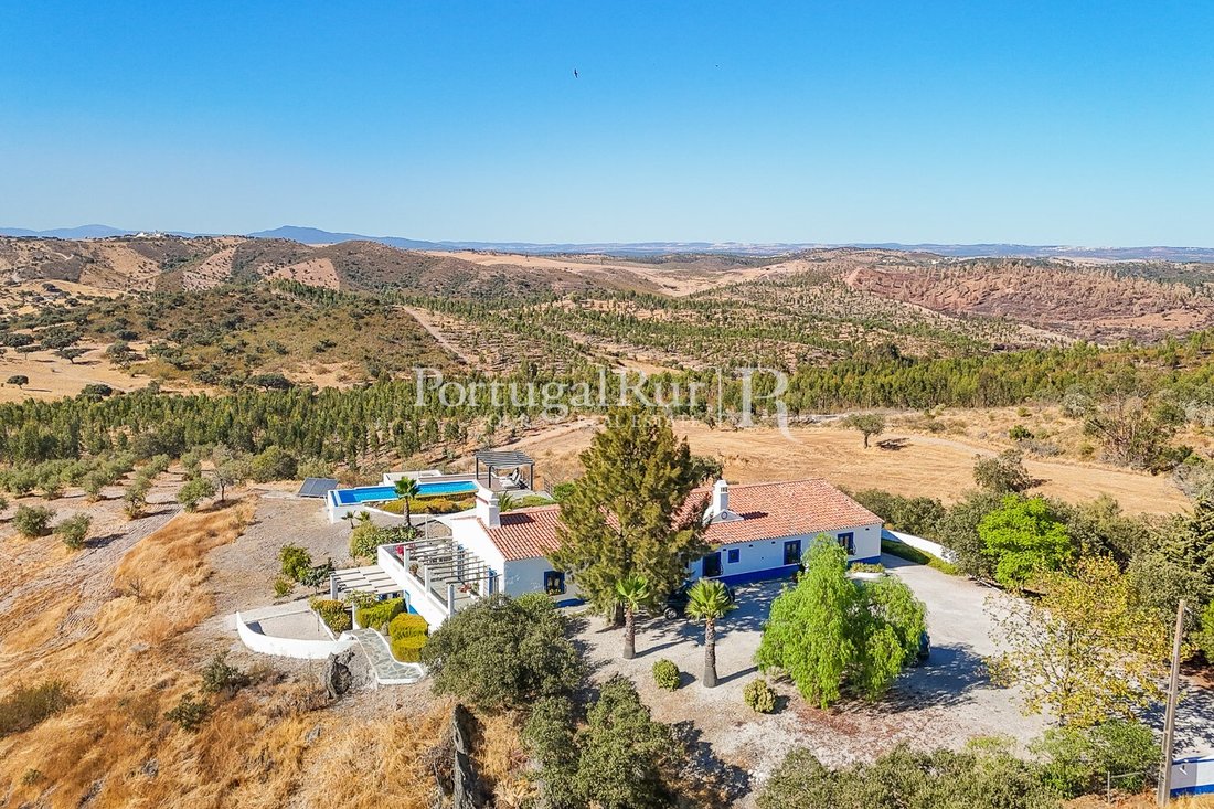 Finca in Terena (Sao Pedro), Évora District, Portugal 3 - 16472491