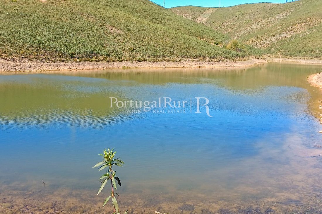 Land in Portimao, Algarve, Portugal 5 - 16296277