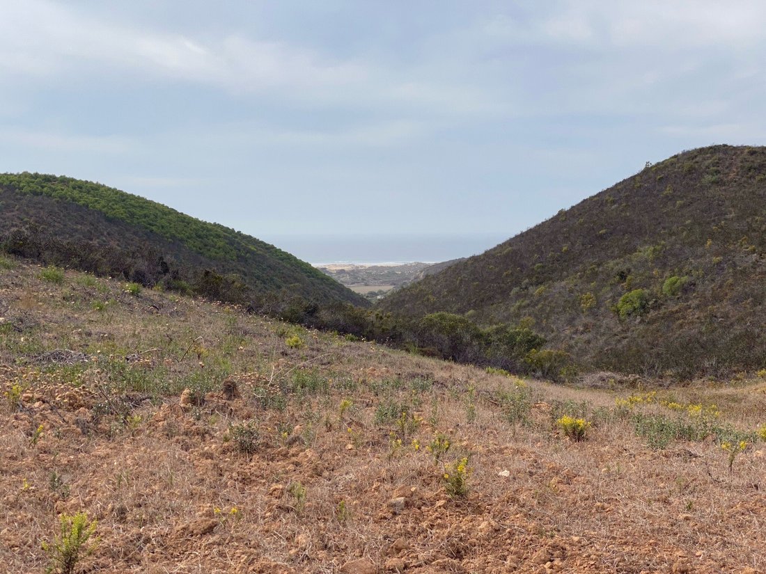 Terreno a Bordeira, Algarve, Portogallo 4 - 16392726