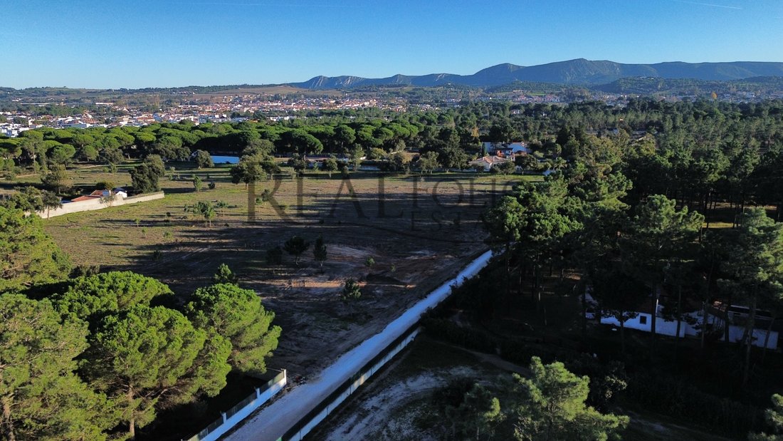 Land in Azeitao (Sao Lourenco e Sao Simao), Setubal, Portugal 3 - 15849354