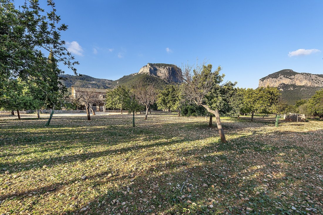 Country House in Alaro, Balearic Islands, Spain 2 - 13664722