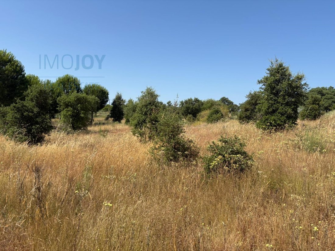 Land in Sao Vicente da Beira, Castelo Branco District, Portugal 4 - 14077852