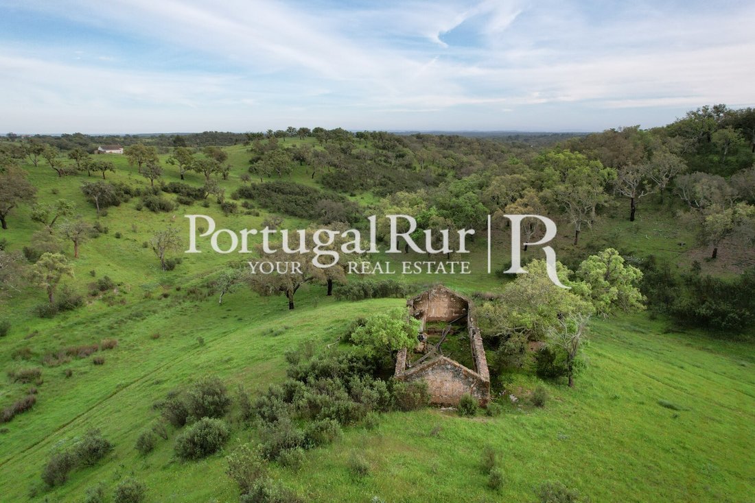 Finca in Santiago do Cacem, Santa Cruz e Sao Bartolomeu da Serra, Setubal, Portugal 2 - 14483675