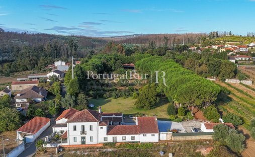 Finca in Valongo do Vouga, Aveiro, Portugal 1