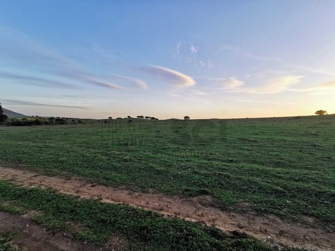 Land in Vila Verde de Ficalho, Beja District, Portugal 5 - 15306895