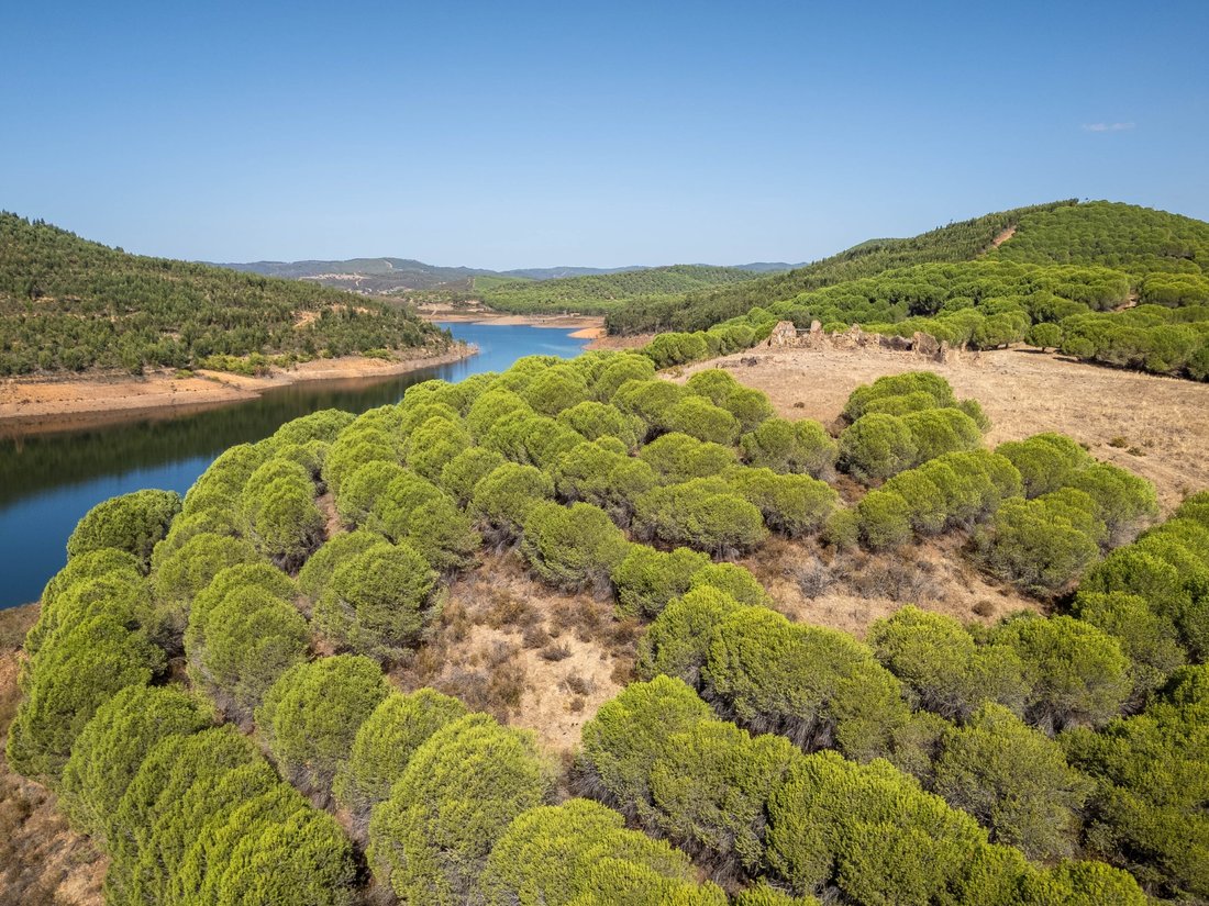 Finca in Bensafrim e Barao de Sao Joao, Algarve, Portugal 3 - 16472501