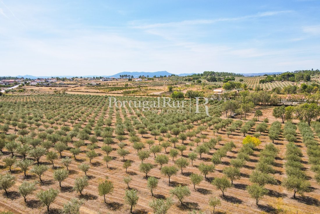 Finca à Se, Santa Maria e Meixedo, Bragance, Portugal 3 - 14876521