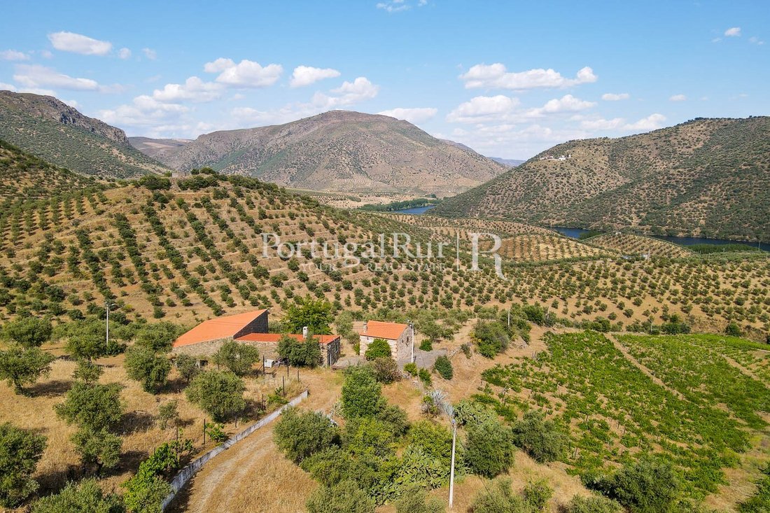 Finca in Escalhao, Guarda District, Portugal 3 - 14876566