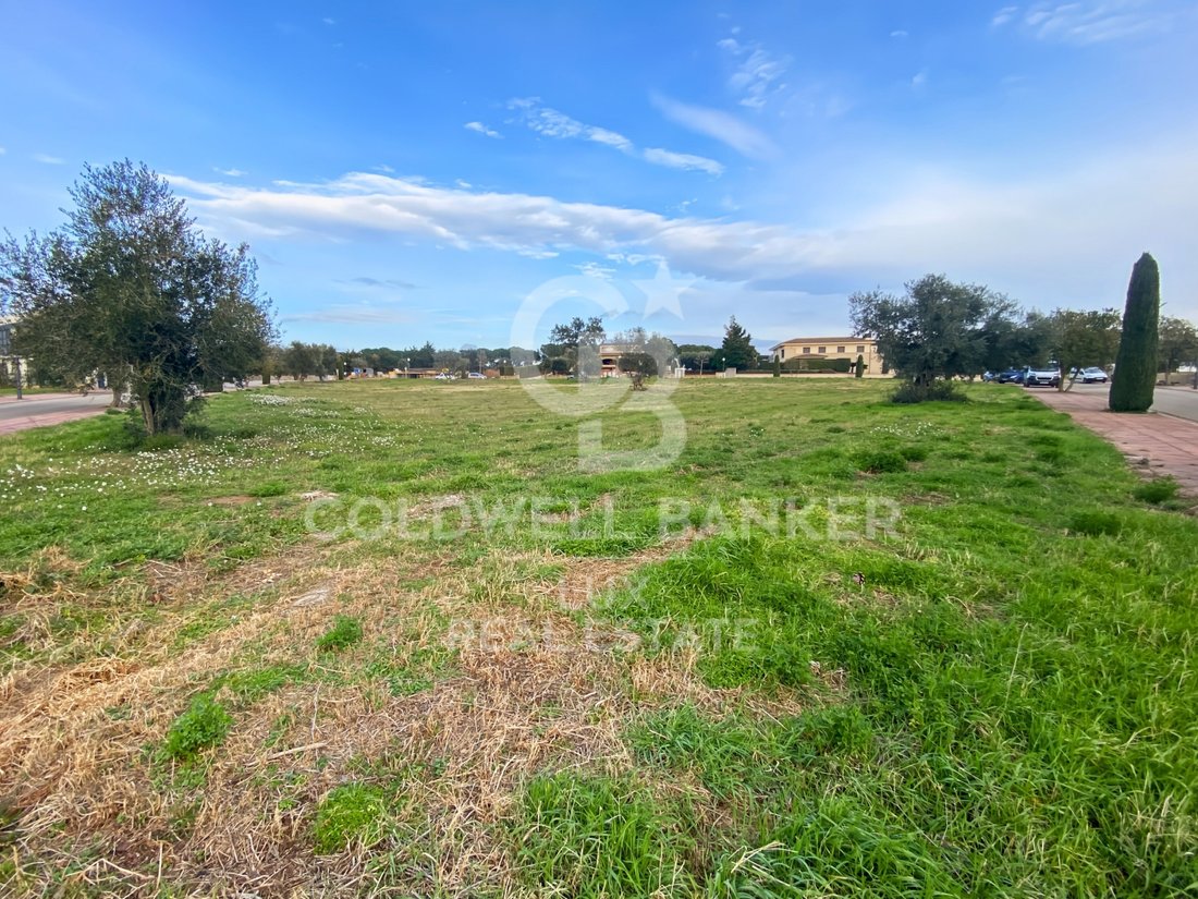 Land in Peralada, Catalonia, Spain 4 - 15223012