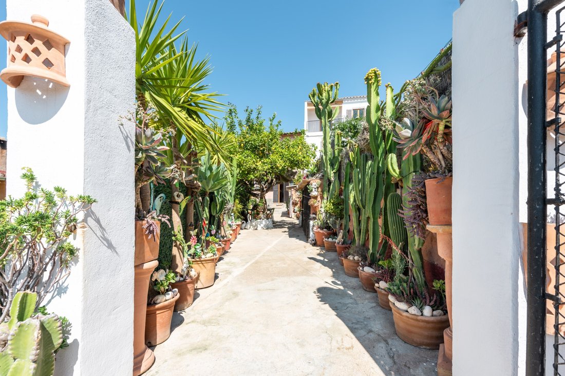 House in Alaro, Balearic Islands, Spain 2 - 12461524