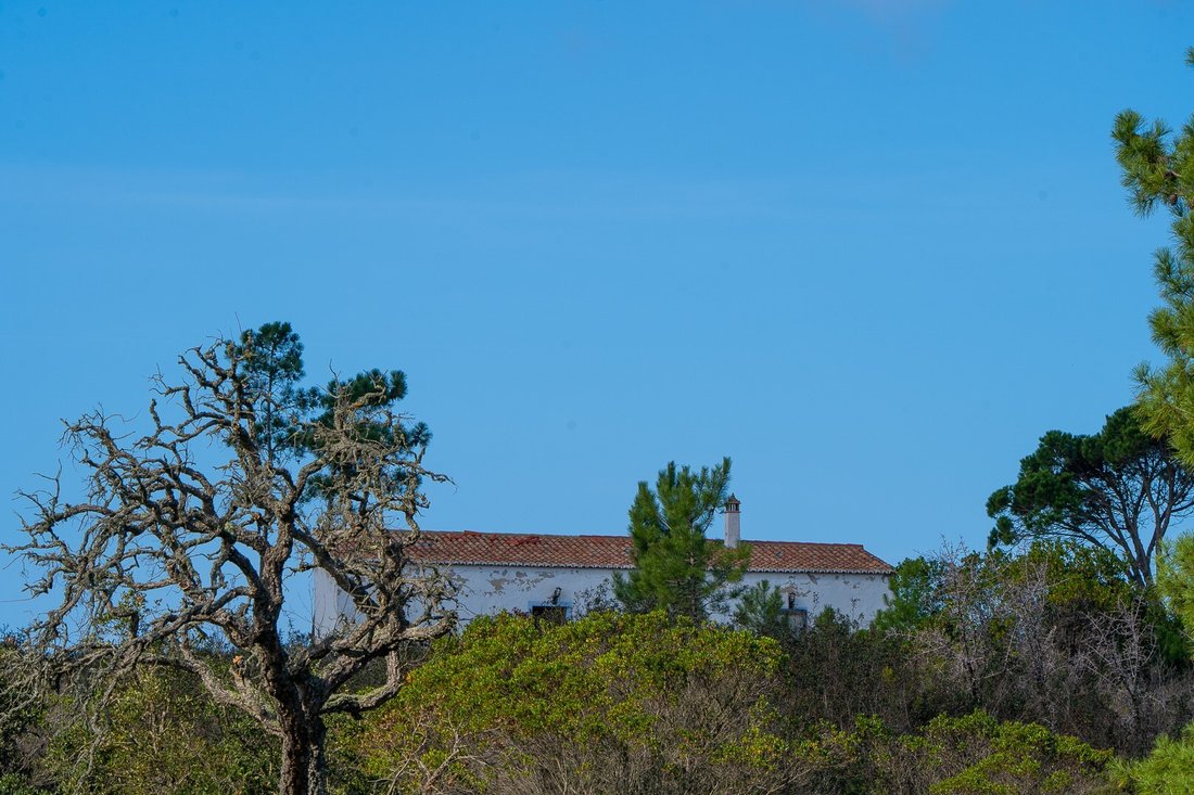 Finca in Aljezur, Algarve, Portugal 1 - 16392809