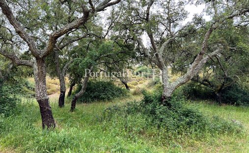 Tenuta a Borba (Matriz), Distretto di Évora, Portogallo 1