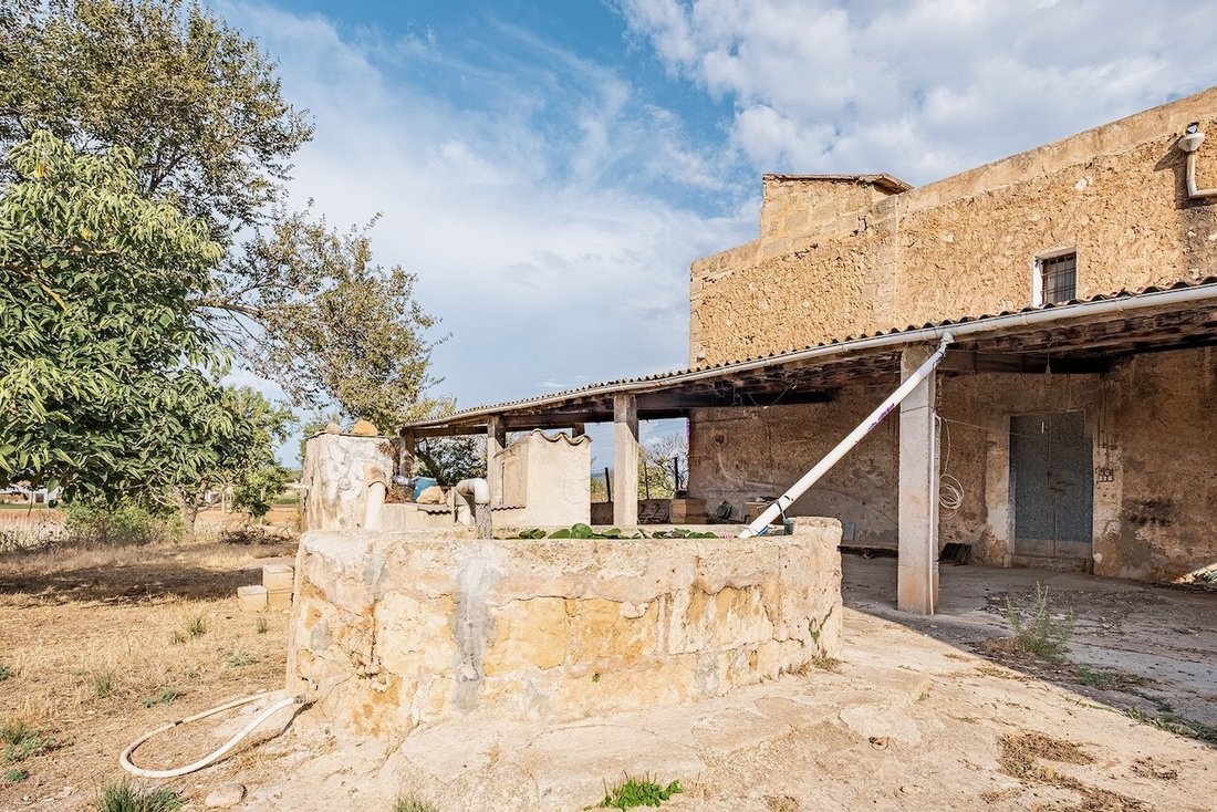 Country House in Palma, Balearic Islands, Spain 5 - 11761487