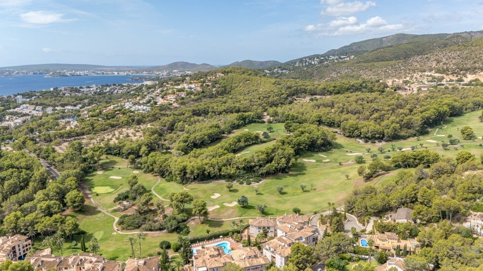 House in Portals Nous, Calvia, Balearic Islands 4 - 16134176