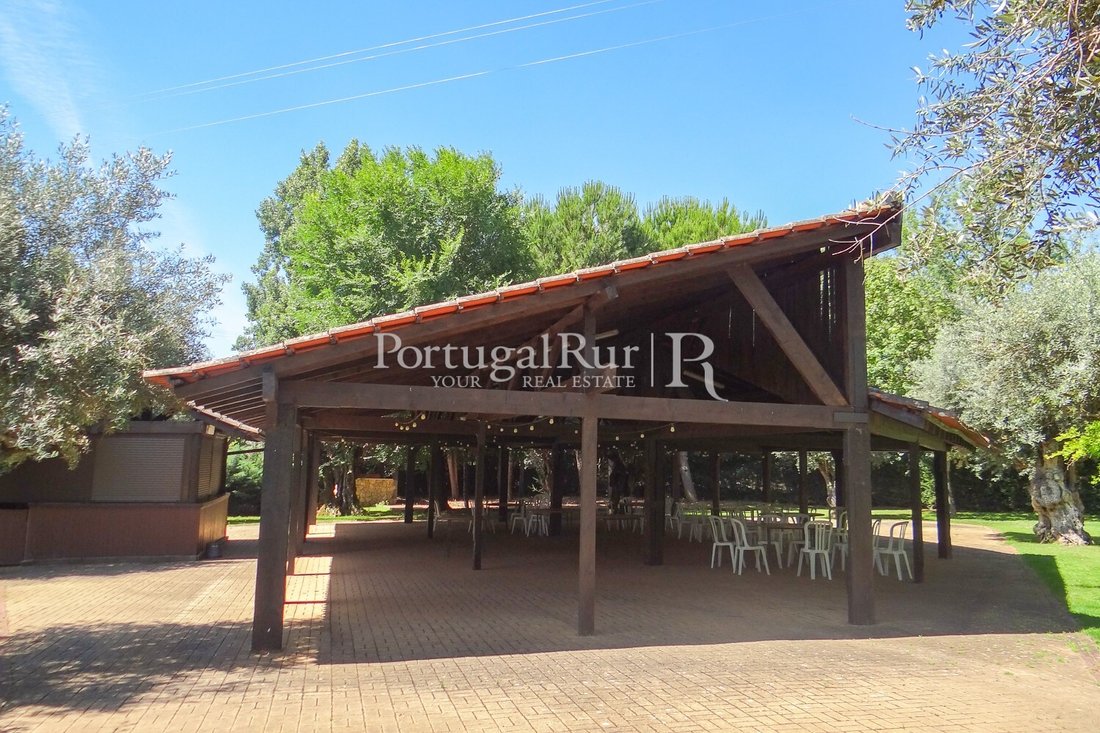 Finca in Abrantes (Sao Vicente e Sao Joao) e Alferrarede, Santarem District, Portugal 5 - 14454274
