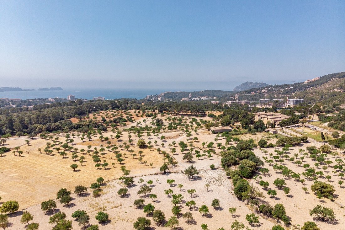 Country House in Calvia, Balearic Islands, Spain 3 - 11968277