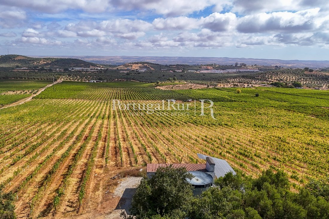 Finca in Nossa Senhora da Conceicao e Sao Bartolomeu, Évora District, Portugal 2 - 16147502