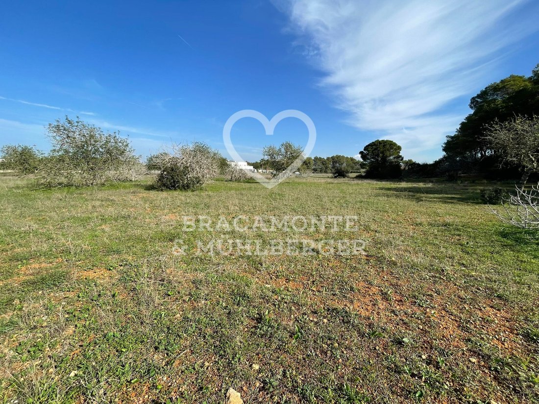 Land in Santa Gertrudis de Fruitera, Santa Eularia des Riu, Balearic Islands 5 - 14945104