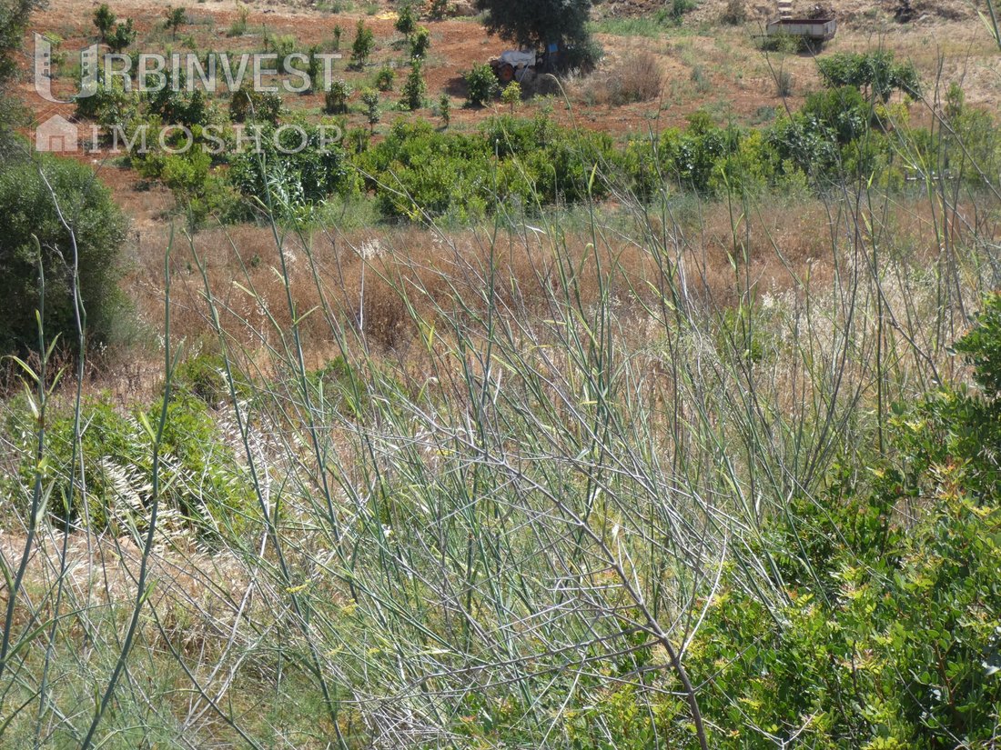 Land in Ferragudo, Algarve, Portugal 2 - 14899531