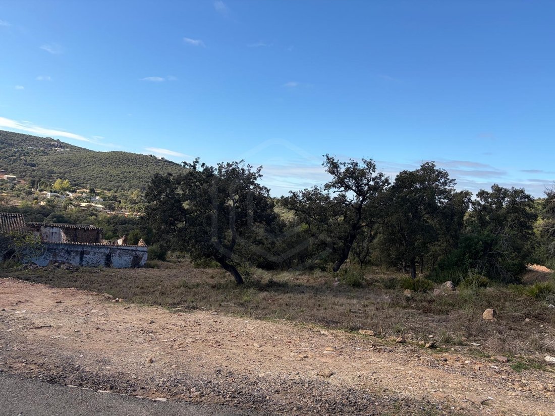 Land in Loule (Sao Clemente), Algarve, Portugal 4 - 16624136