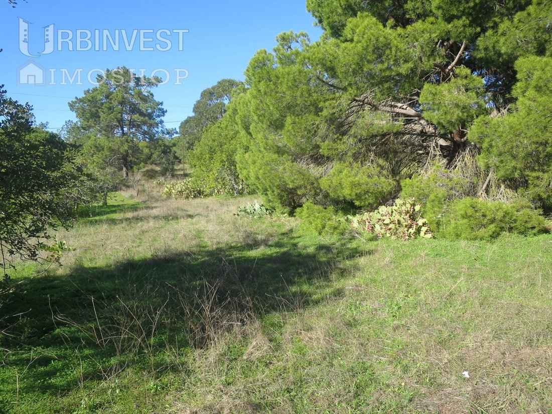 Land in Quarteira, Algarve, Portugal 5 - 12312078