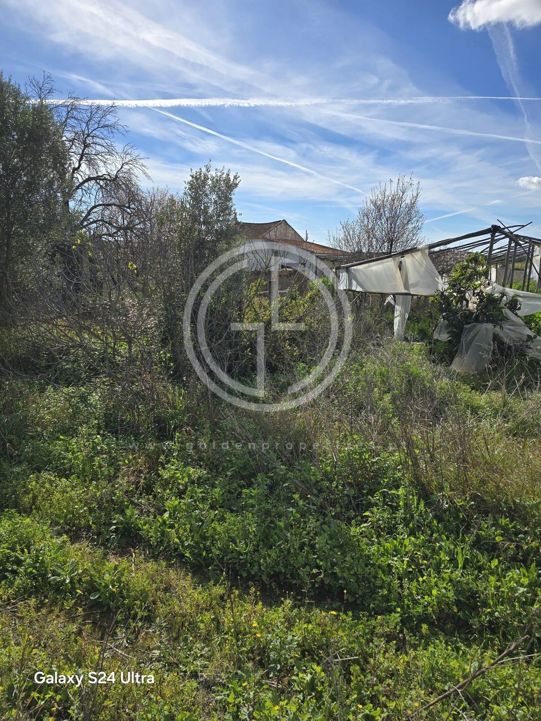 Land in Faro (Se e Sao Pedro), Algarve, Portugal 2 - 15365965