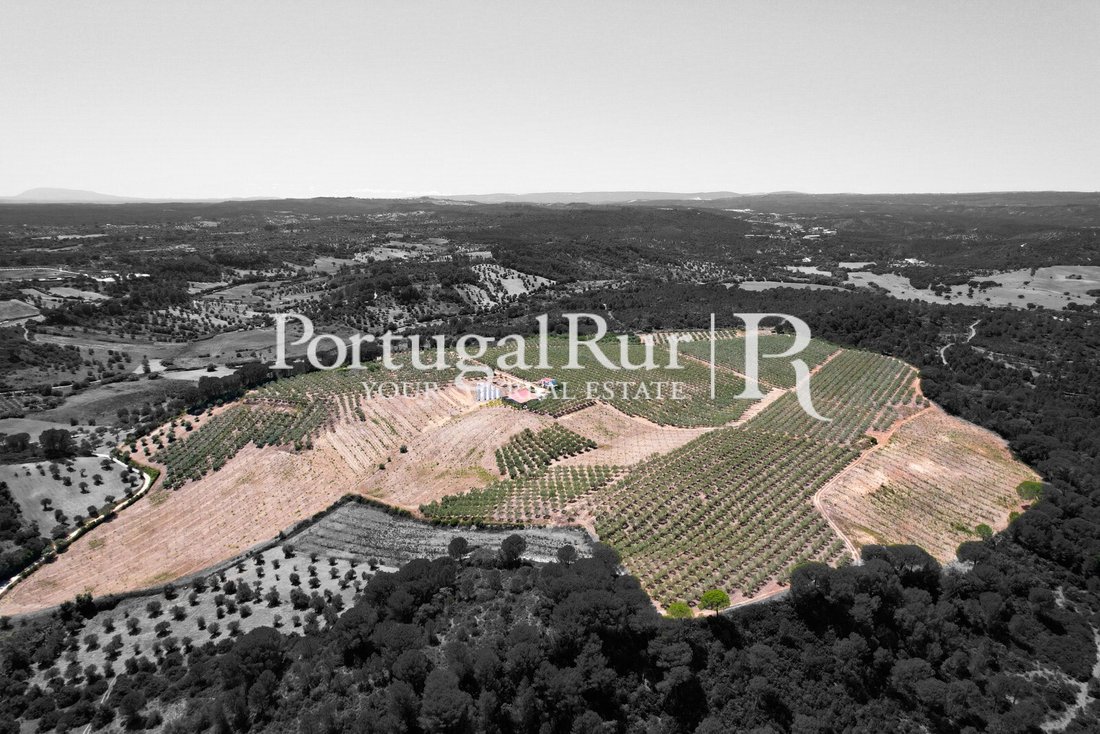 Finca in Malhou, Louriceira e Espinheiro, Santarem District, Portugal 1 - 15118129