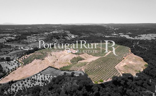 Finca a Malhou, Louriceira e Espinheiro, Distretto di Santarém, Portogallo 1