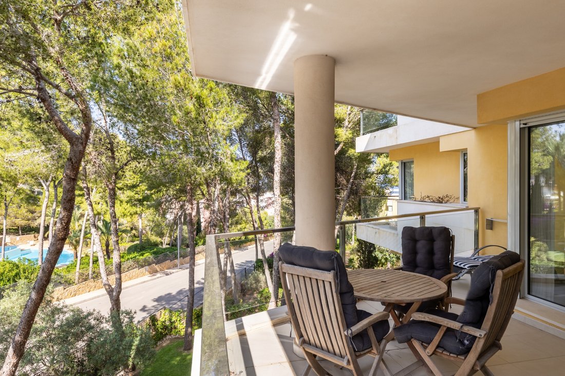 Apartment in Sol de Mallorca, Calvia, Balearic Islands 4 - 15617360