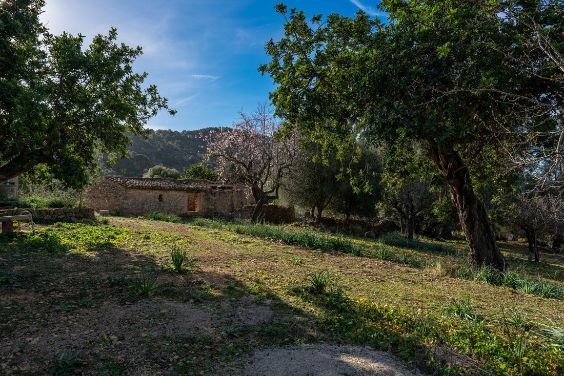 Country House in Alaro, Balearic Islands, Spain 5 - 13794356