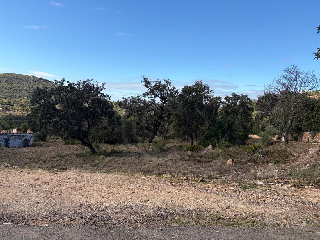 Land in Loule (Sao Clemente), Algarve, Portugal 5 - 16624136