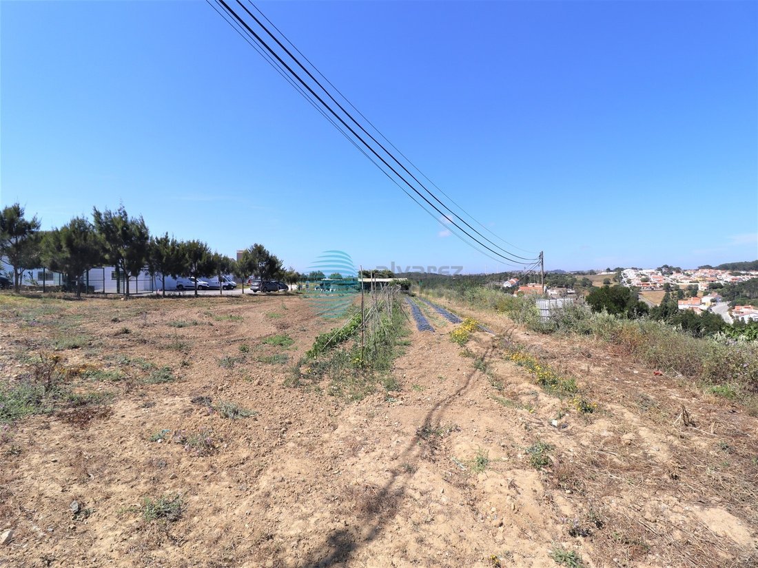 Otros en Ericeira, Distrito de Lisboa, Portugal 4 - 16123641