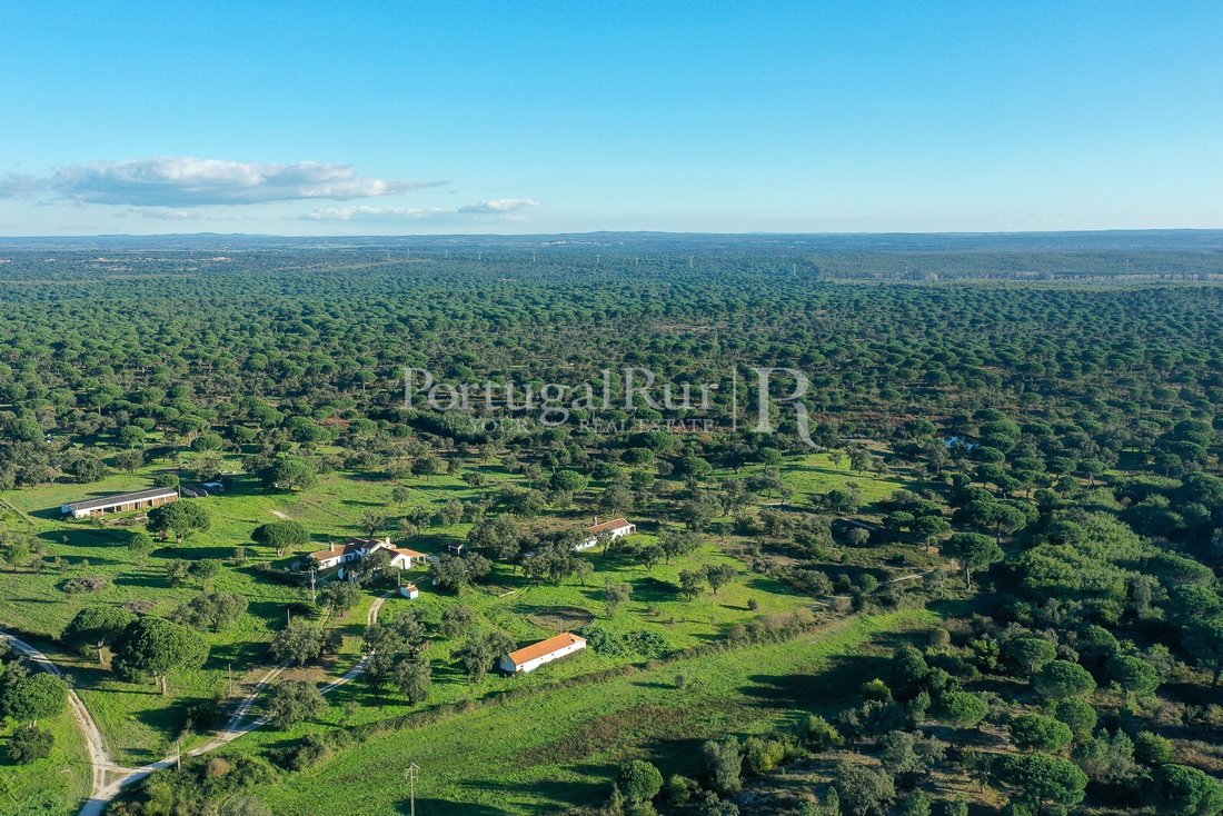 Estate in Vendas Novas, Évora District, Portugal 3 - 15047246