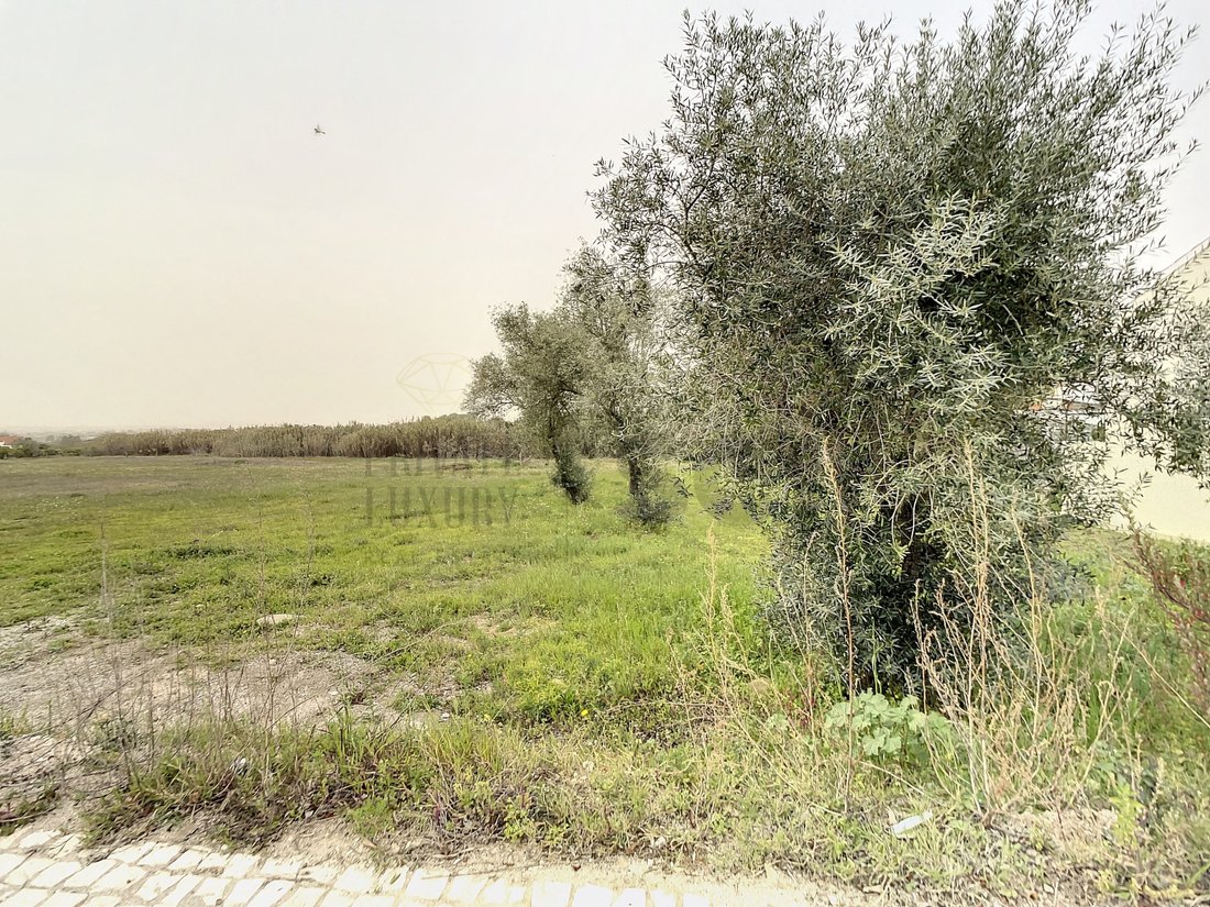 Land in Quinta do Anjo, Setubal, Portugal 5 - 15306941
