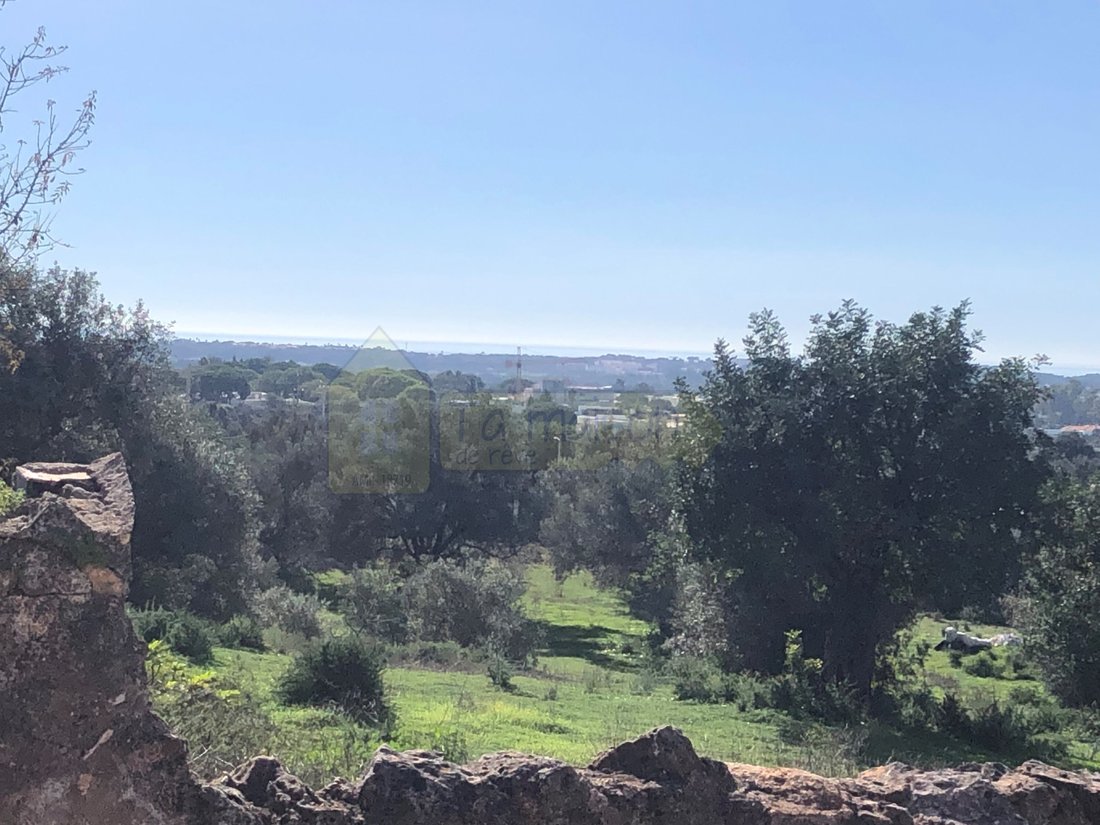 Land in Boliqueime, Algarve, Portugal 1 - 14952378