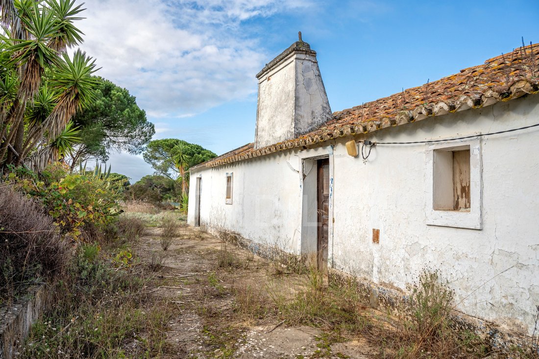 Haus in Melides, Setúbal Municipality, Portugal 3 - 16664526