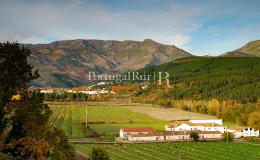 Finca a Covilha e Canhoso, Distretto di Castelo Branco, Portogallo 1