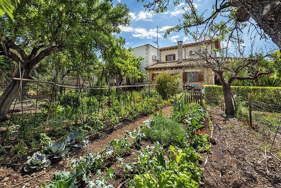 Country House in Santa Maria del Cami, Balearic Islands, Spain 3 - 15631341