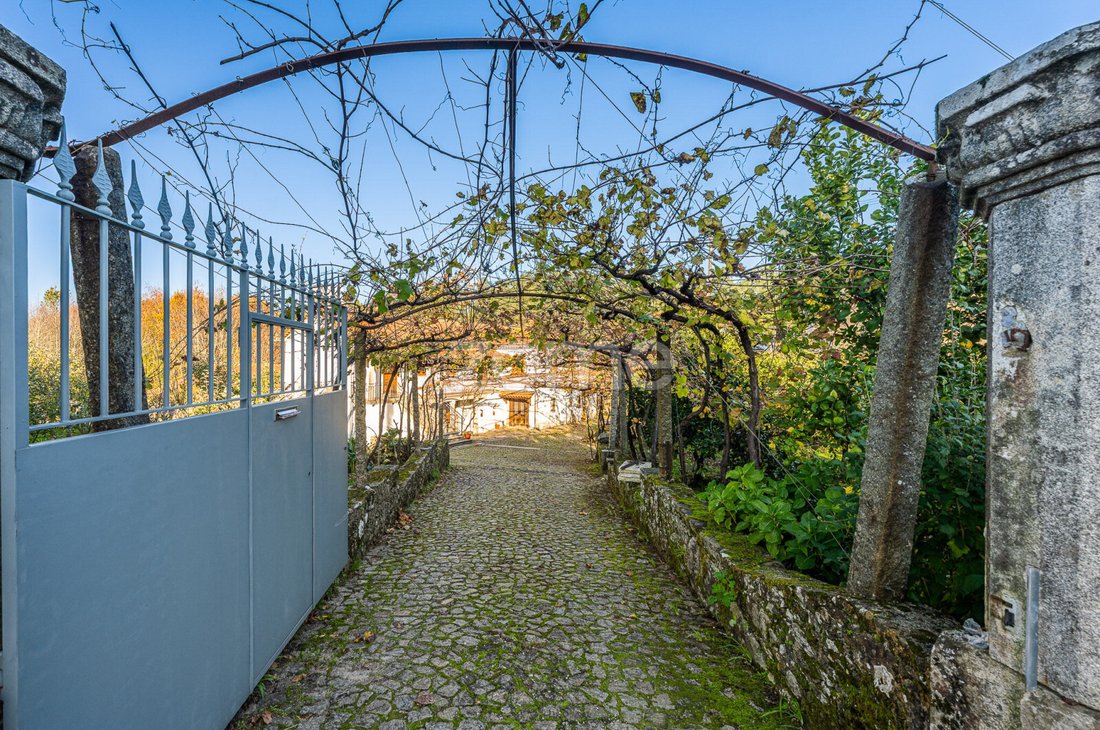 Finca in Milheiros de Poiares, Aveiro District, Portugal 2 - 16713581
