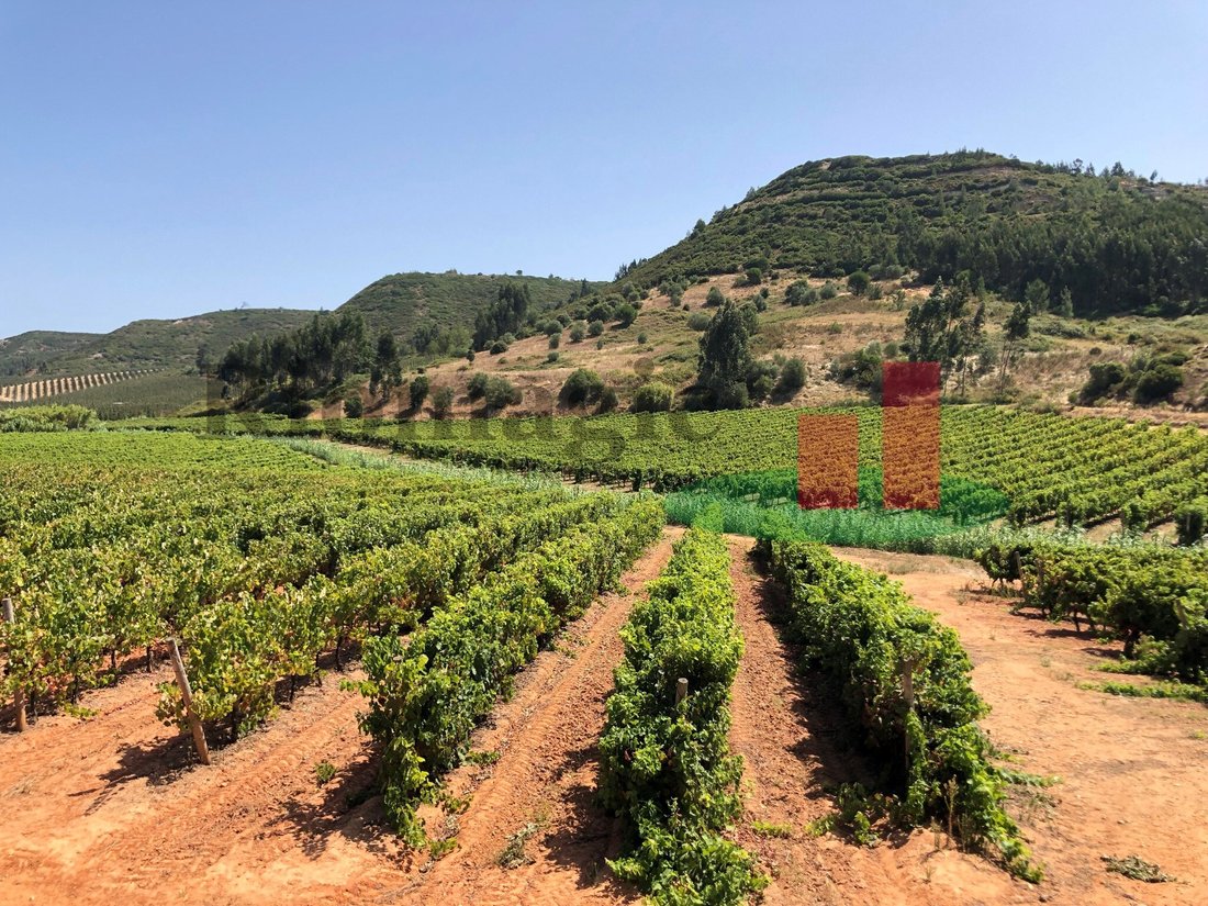 Land in Alcoentre, Lissabon, Portugal 1 - 12276209