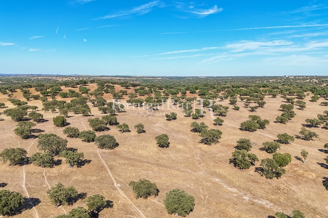 Land in Ervedal, Portalegre District, Portugal 5 - 14952500