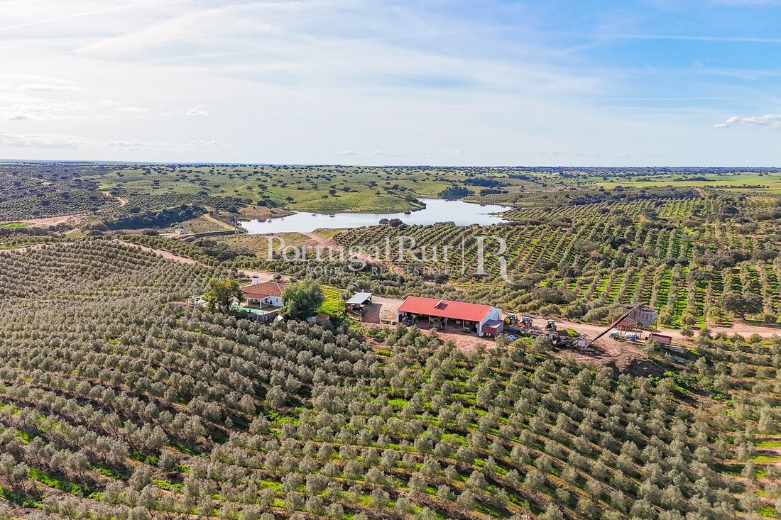 Estate in Cabeca Gorda, Beja District, Portugal 2 - 16472537